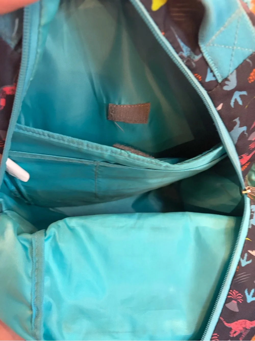 Kids Dinosaur Backpack Set in Black & Turquoise